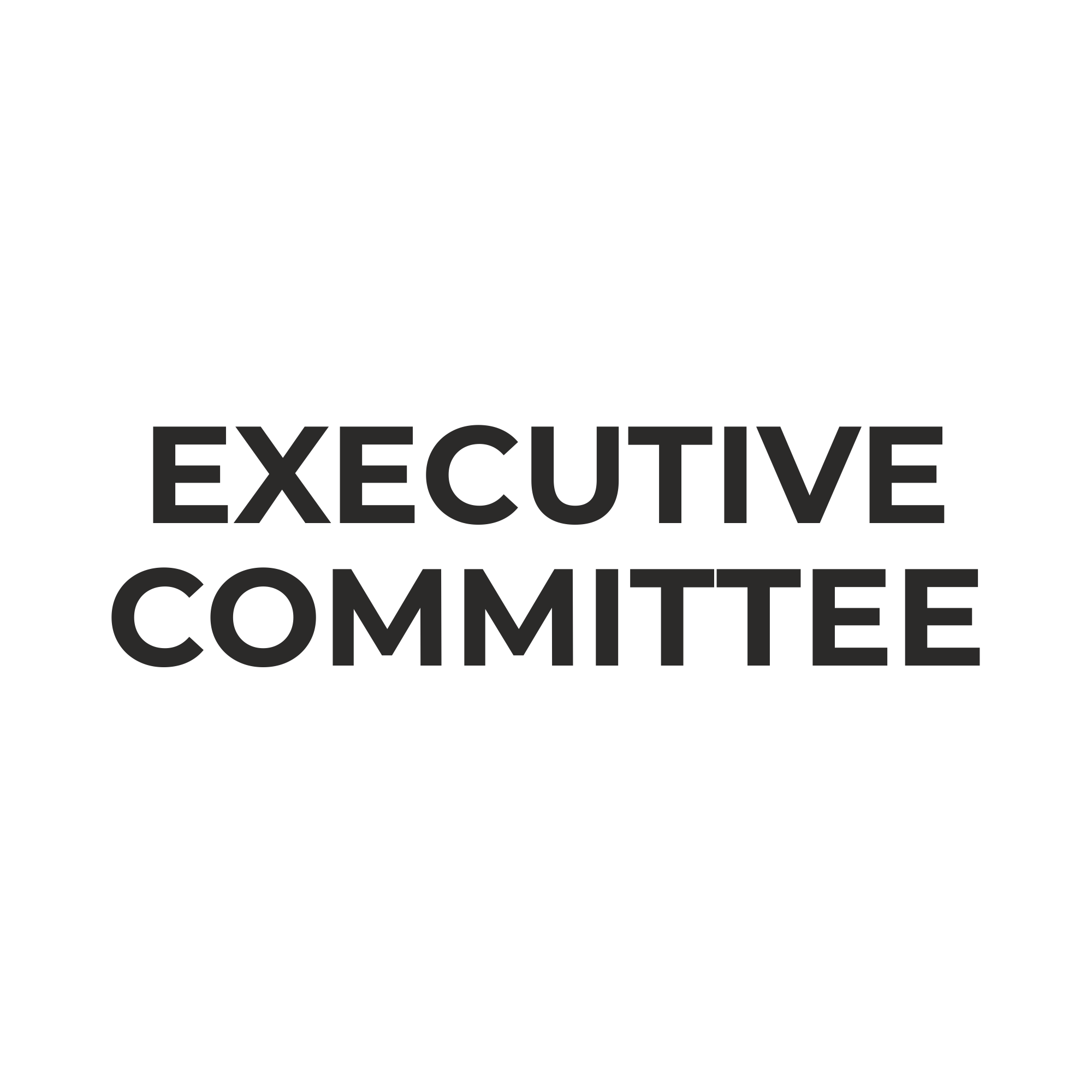 EXECUTIVE COMMITTEE